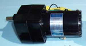 leeson Motor